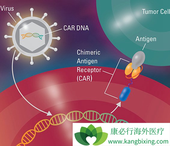 ���߿�������