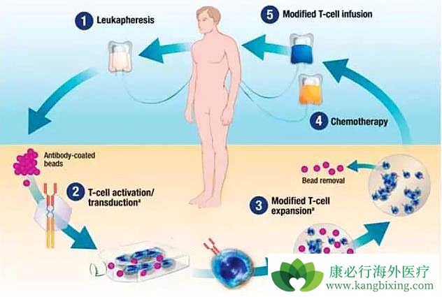 ���������Ʒ�