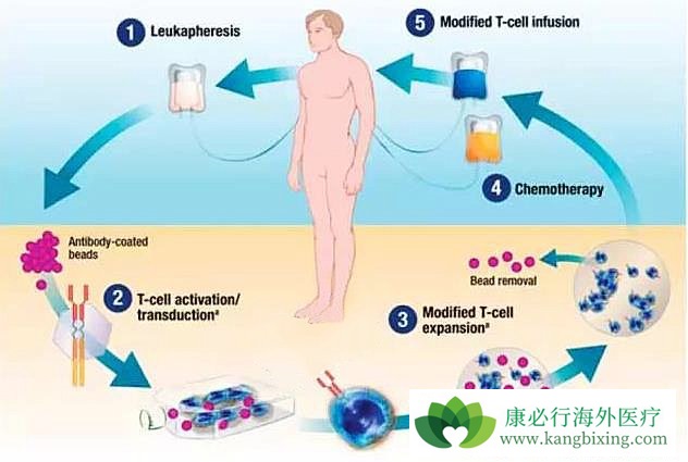 CD19��������