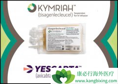 ŵ��CAR-T�Ʒ�KYMRIAH��Ҫ���ߵ�ѪҺ��