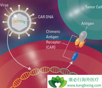 ����ʲôʱ�������µ����߿���������