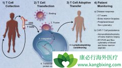 CAR-T�Ʒ�KYMRIAH��������ư�֢�ģ�