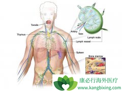 KITE��˾��YESCARTA��FDA��׼�ĵڶ���CAR-T�Ʒ�