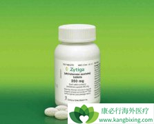 ӡ�Ȱ�����������ҩ��Ч������ԭ��ҩ